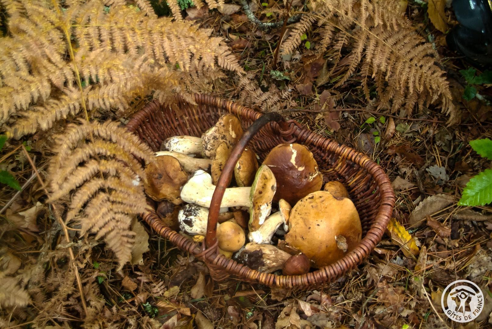La Maison du Pêcheur, Astaillac - photo 320