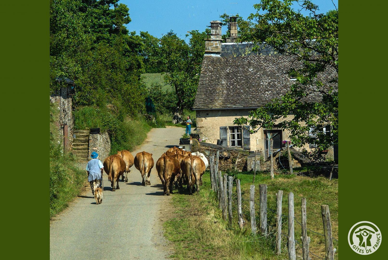 La Maison du Pêcheur, Astaillac - photo 340