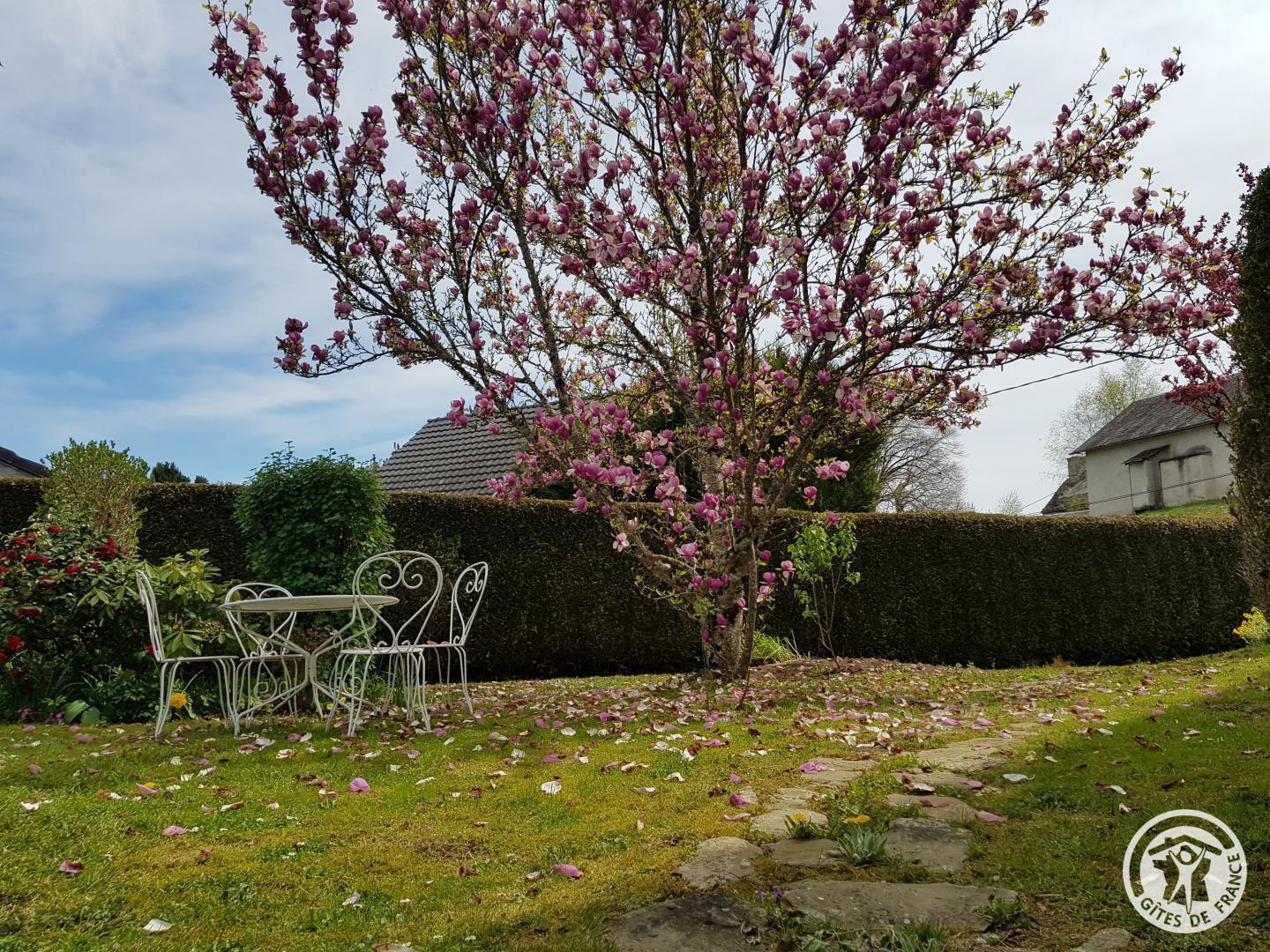 Location Gîtes de France les Hortensias, Albussac - photo 96
