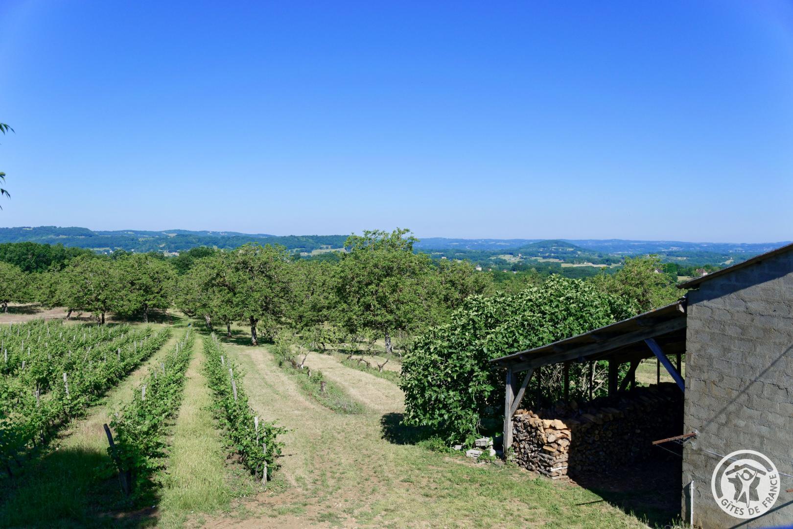 Belleviste, Queyssac-les-Vignes - photo 197