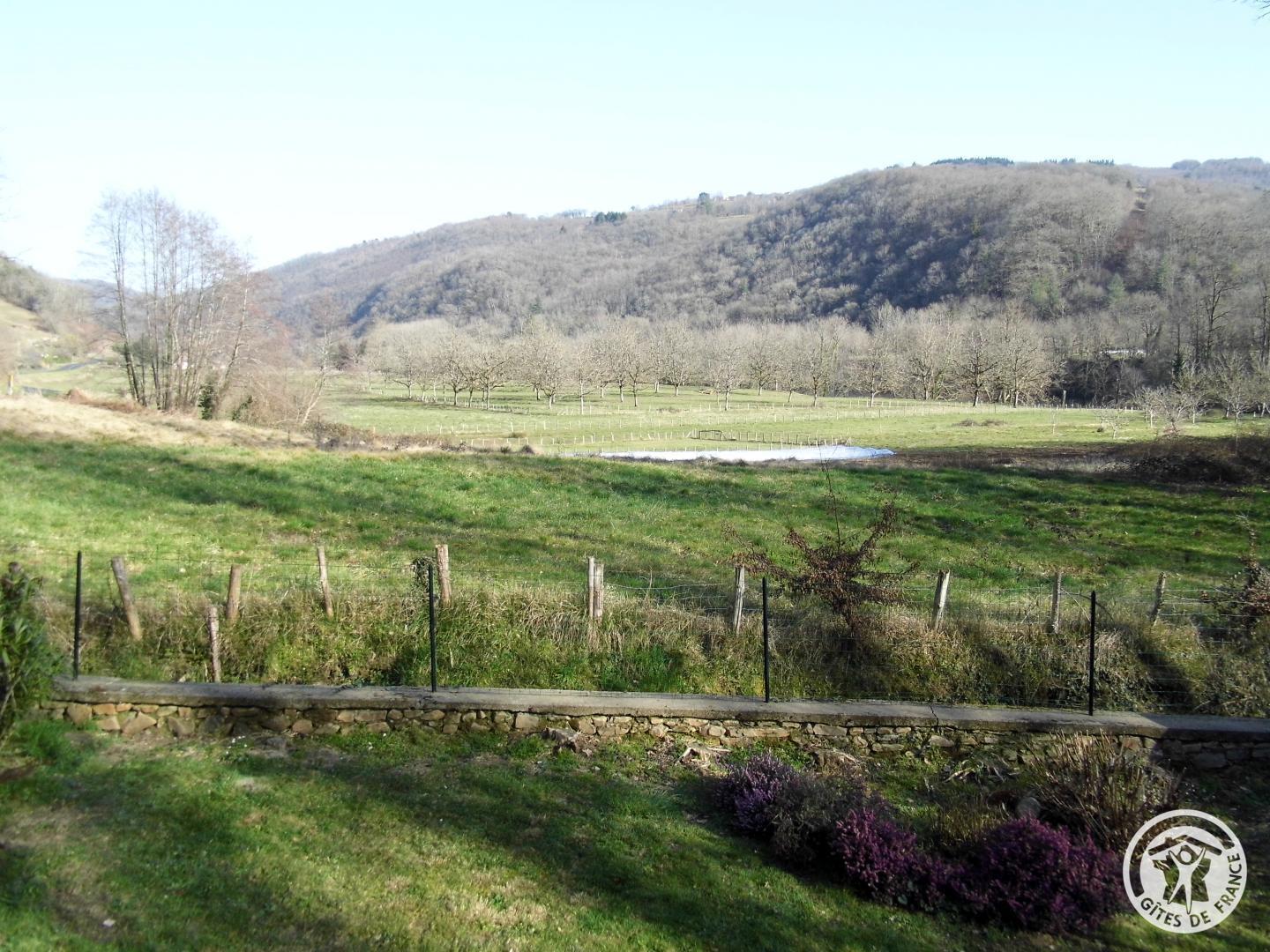 Location Gîtes de France  - Réf : 19G5053, Chenailler-Mascheix - photo 84