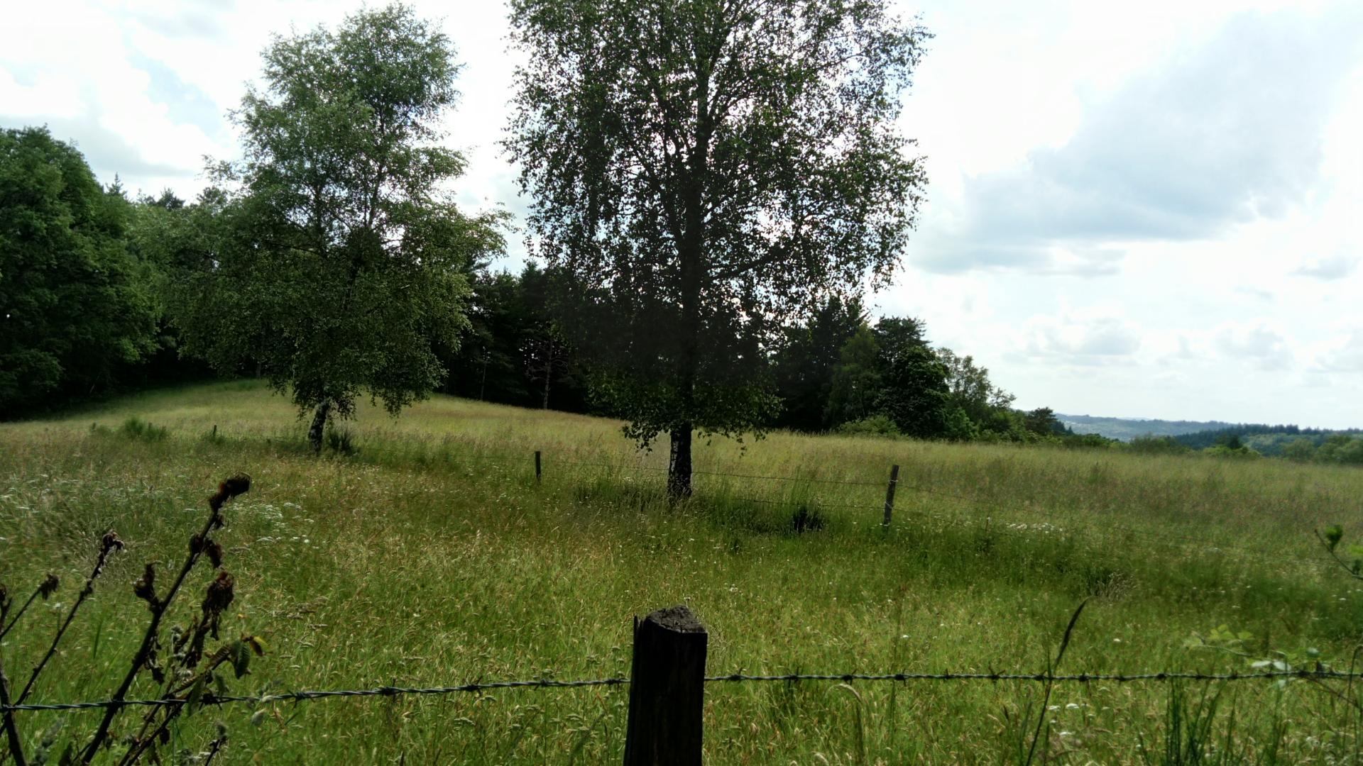 Gîte de la Prairie — photo 3