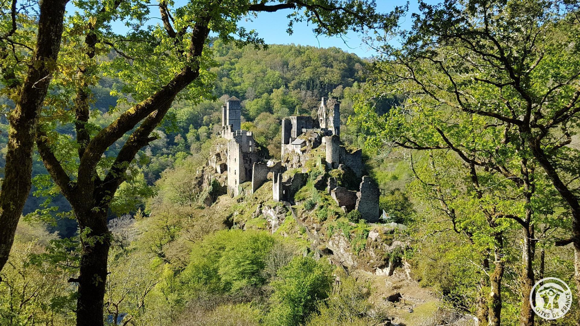 Location Gîtes de France Laroche, Hautefage - photo 47