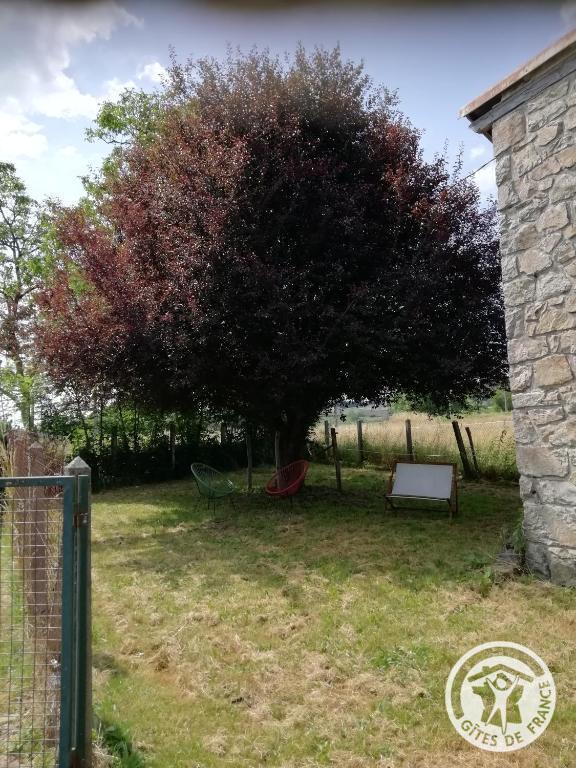Le Pamparou, Albussac - photo 75