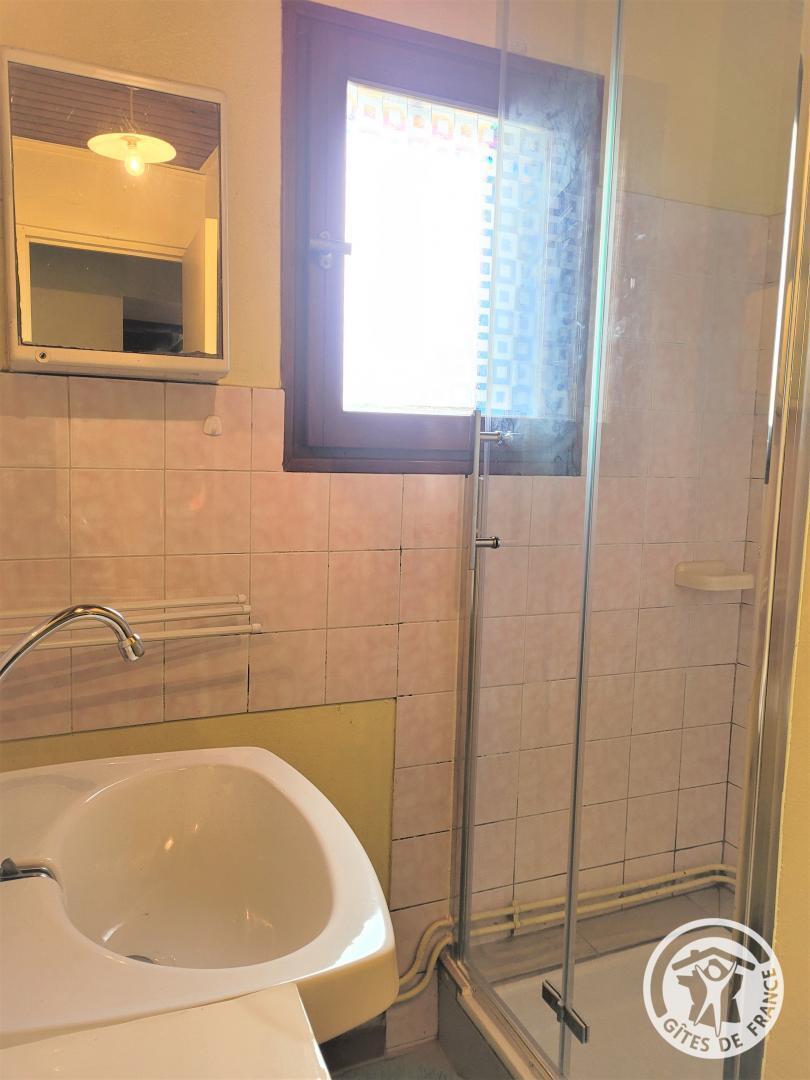 Location Gîtes de France  - Réf : 19G5132, Lamazière-Basse - photo 80