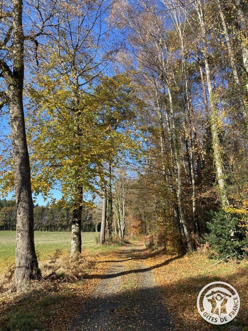 l'Estive, Camps-Saint-Mathurin-Léobazel - photo 117