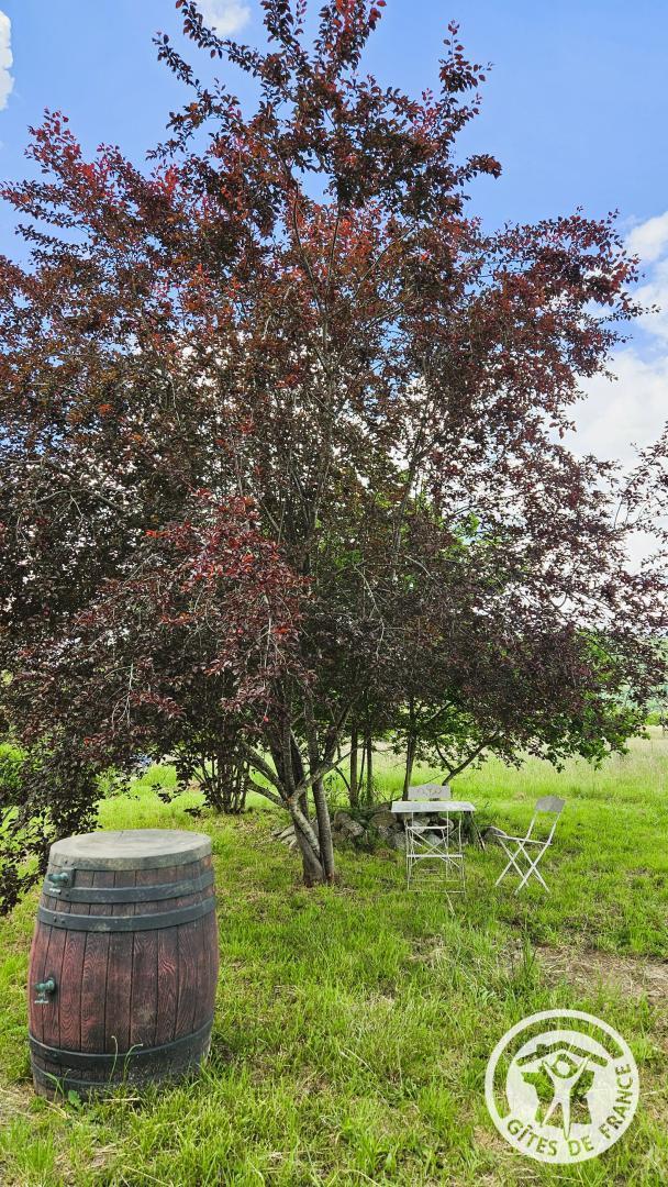 Location Gîtes de France n°19G5138, Monceaux-sur-Dordogne - photo 145