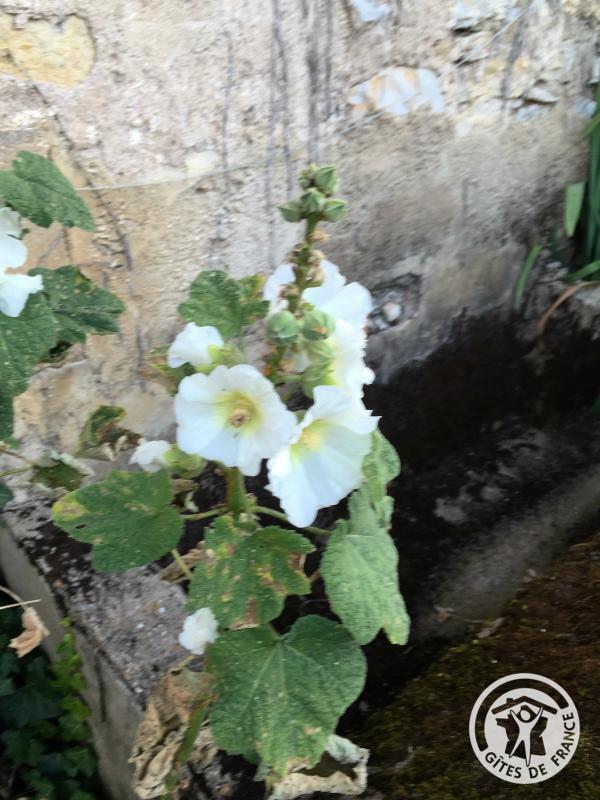 L'Oustal, Liourdres - photo 147