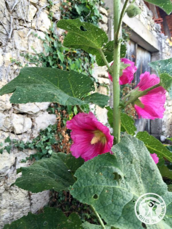 L'Oustal, Liourdres - photo 149