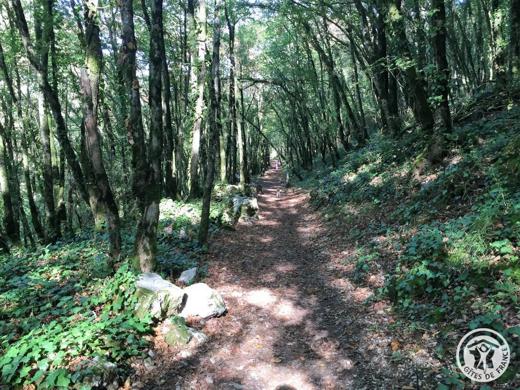 L'Oustal, Liourdres - photo 135