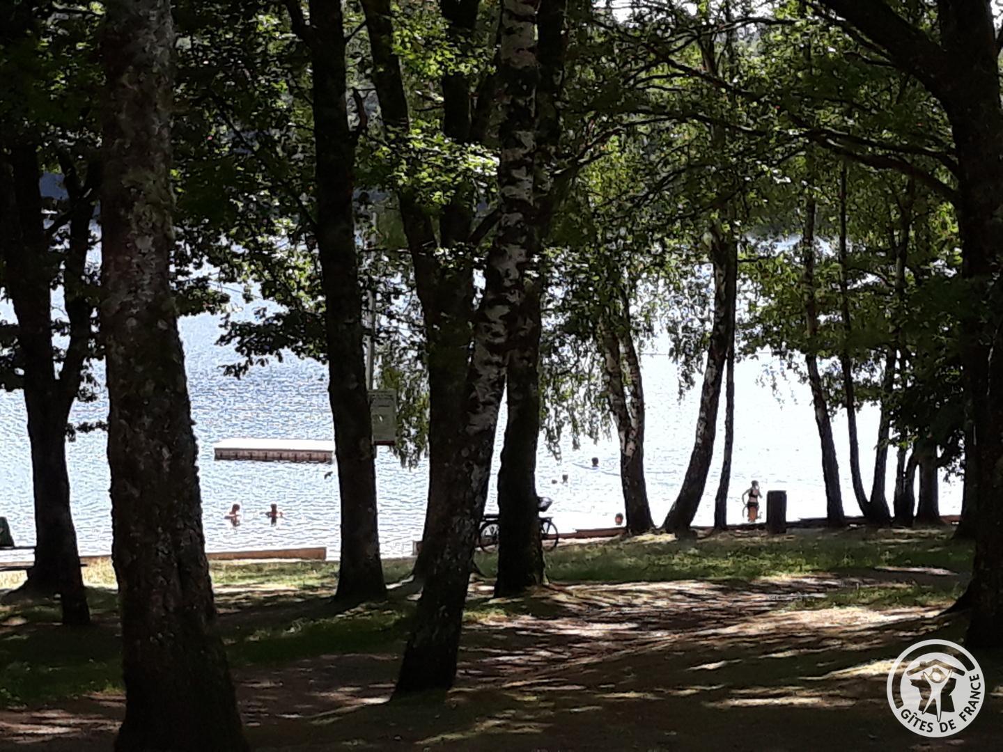 Location Gîtes de France  - Réf : 19G5160, Marcillac-la-Croisille - photo 99