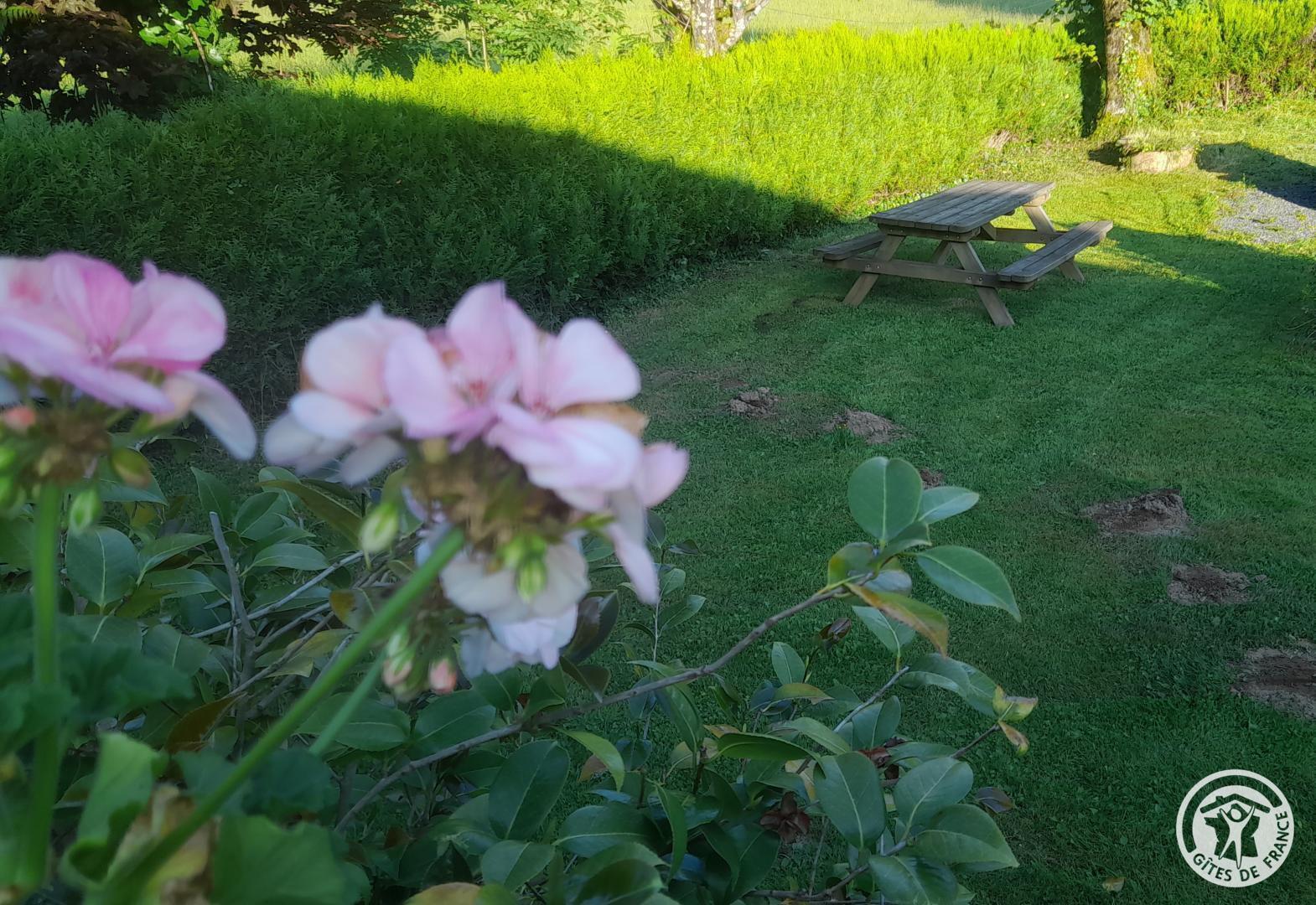Location Gîtes de France  - Réf : 19G5180, Mercœur - photo 133