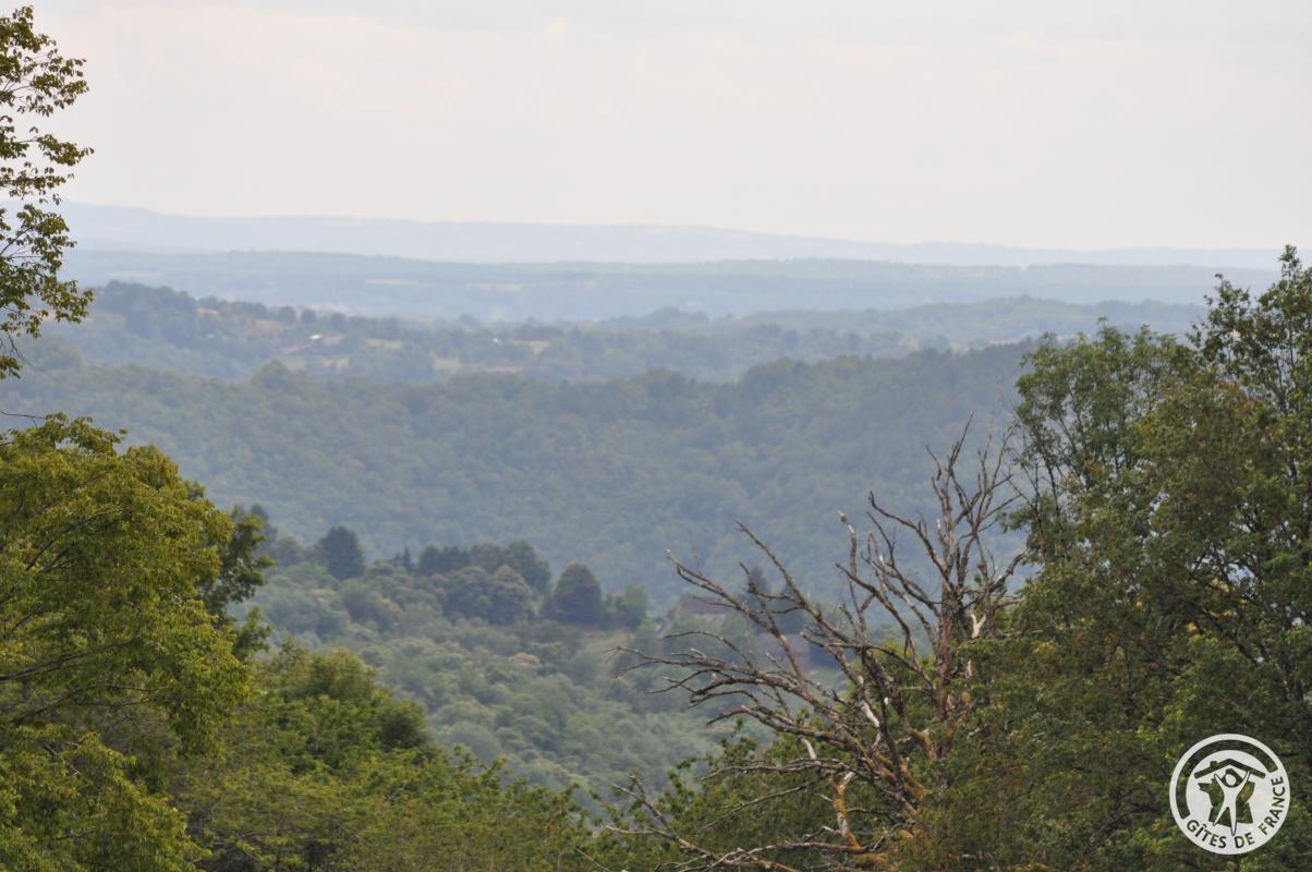 Le Cottage, Monceaux-sur-Dordogne - photo 133