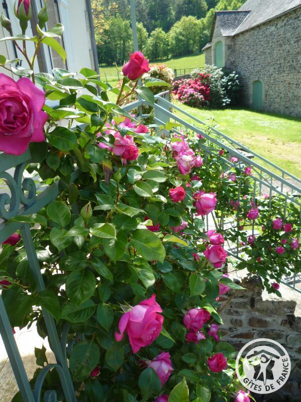 Location Gîtes de France  - Réf : 19G5188, Monceaux-sur-Dordogne - photo 333