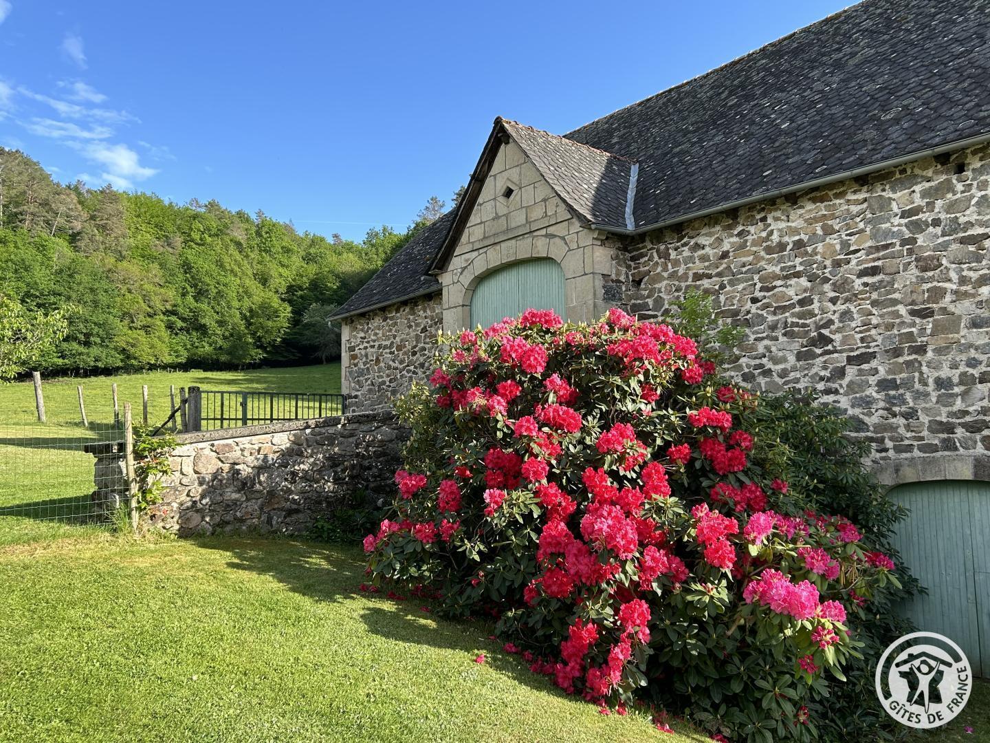 Location Gîtes de France  - Réf : 19G5188, Monceaux-sur-Dordogne - photo 353