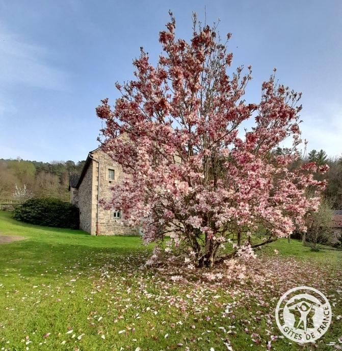 Location Gîtes de France  - Réf : 19G5188, Monceaux-sur-Dordogne - photo 340