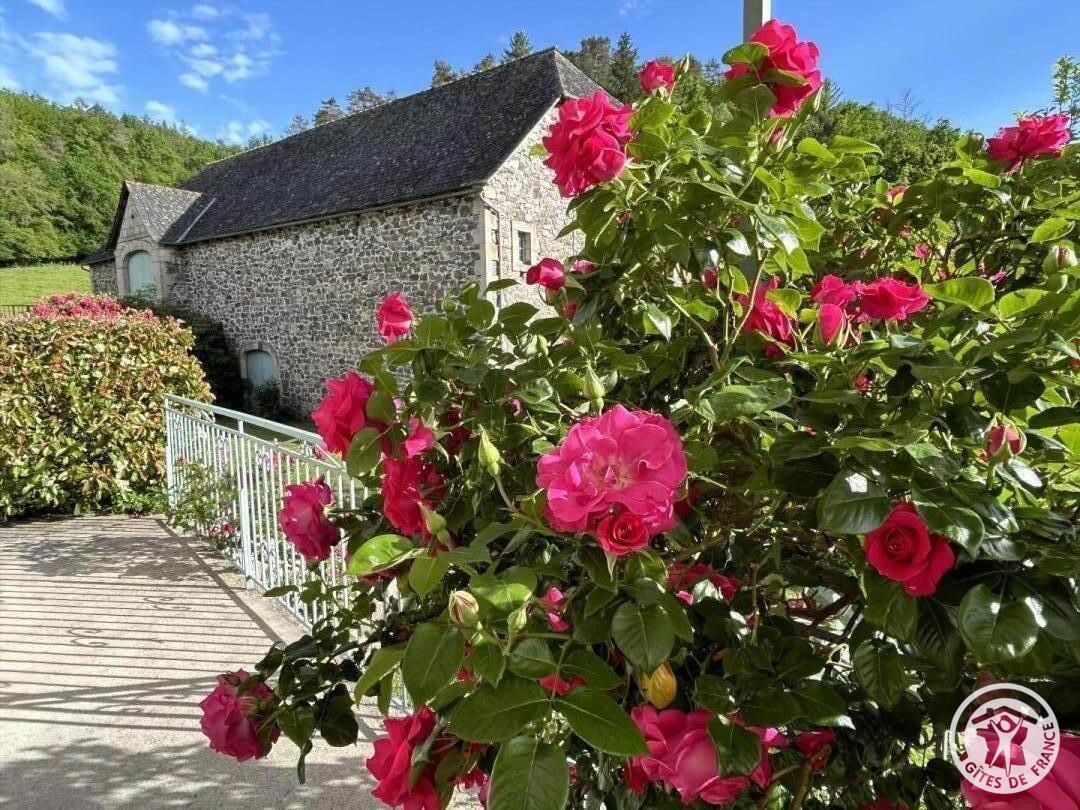 Location Gîtes de France  - Réf : 19G5188, Monceaux-sur-Dordogne - photo 342