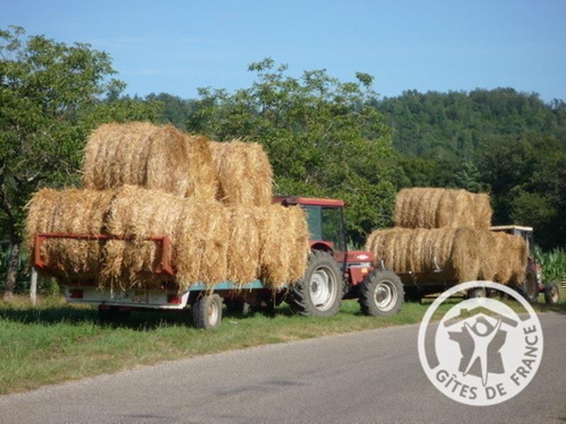 Location Gîtes de France  - Réf : 19G5188, Monceaux-sur-Dordogne - photo 329