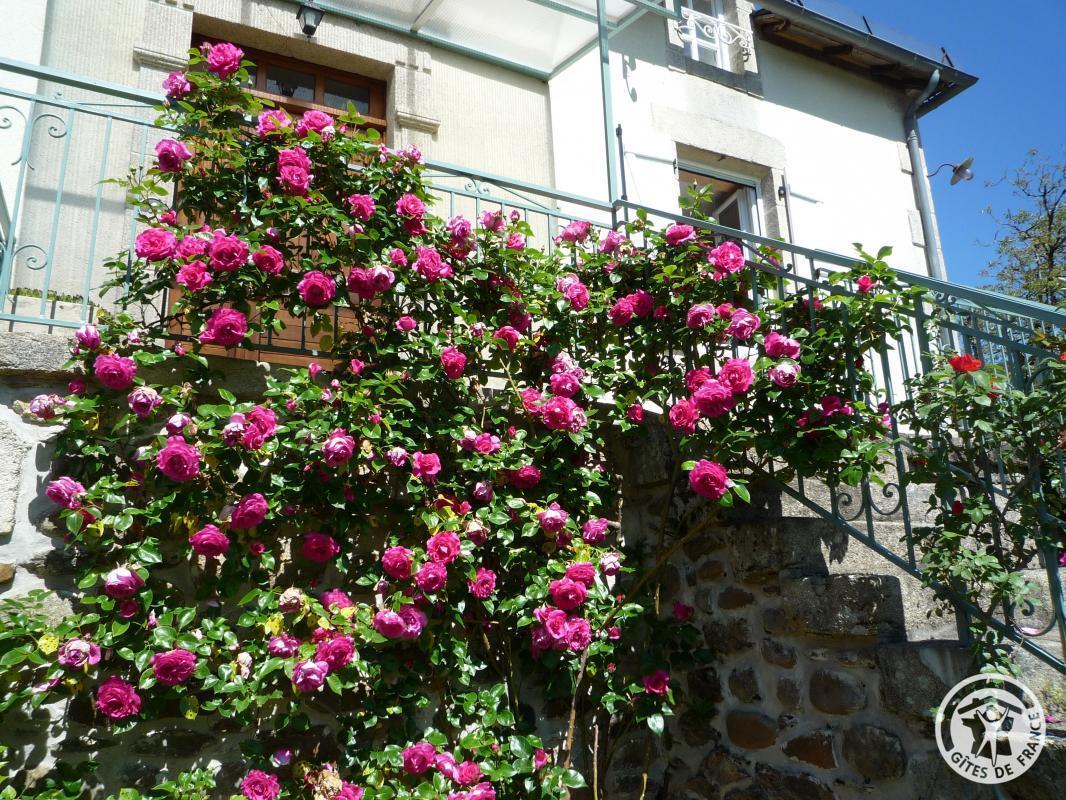 Location Gîtes de France  - Réf : 19G5188, Monceaux-sur-Dordogne - photo 331