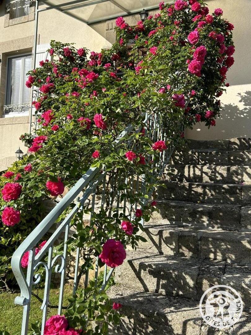 Location Gîtes de France  - Réf : 19G5188, Monceaux-sur-Dordogne - photo 298