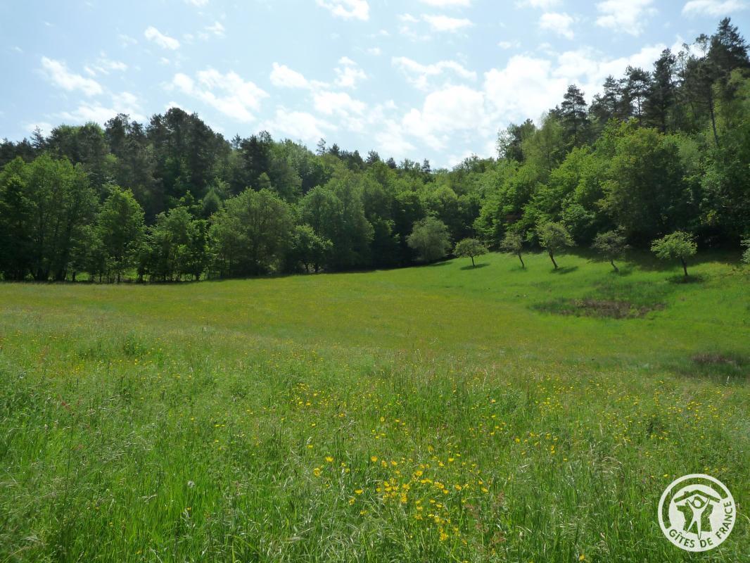 Location Gîtes de France  - Réf : 19G5188, Monceaux-sur-Dordogne - photo 327