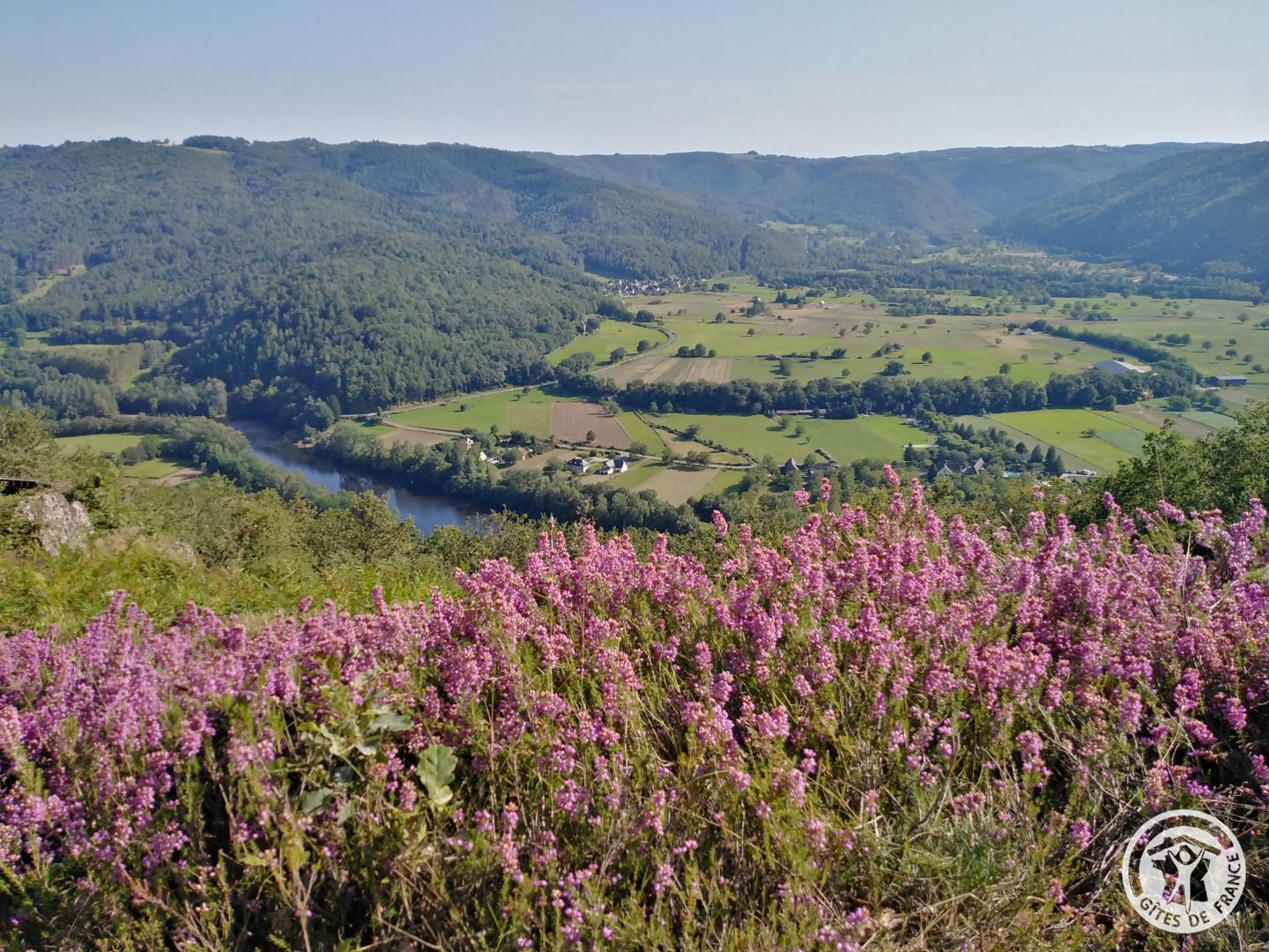 Location Gîtes de France  - Réf : 19G5188, Monceaux-sur-Dordogne - photo 313