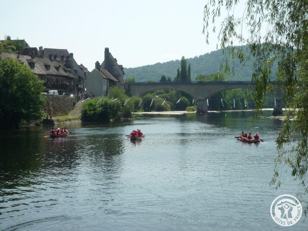 Location Gîtes de France  - Réf : 19G5188, Monceaux-sur-Dordogne - photo 311