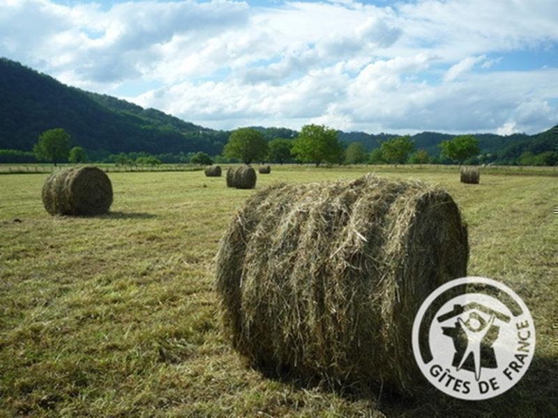 Location Gîtes de France  - Réf : 19G5188, Monceaux-sur-Dordogne - photo 316