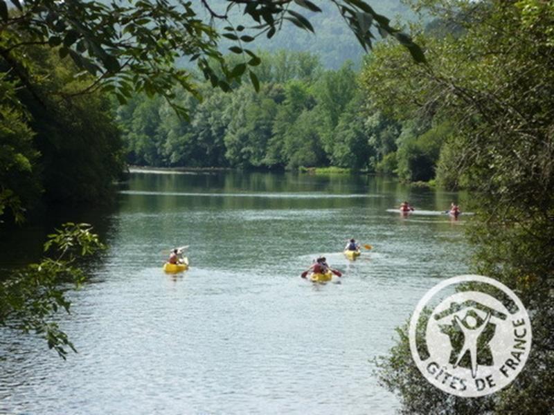 Location Gîtes de France  - Réf : 19G5188, Monceaux-sur-Dordogne - photo 309