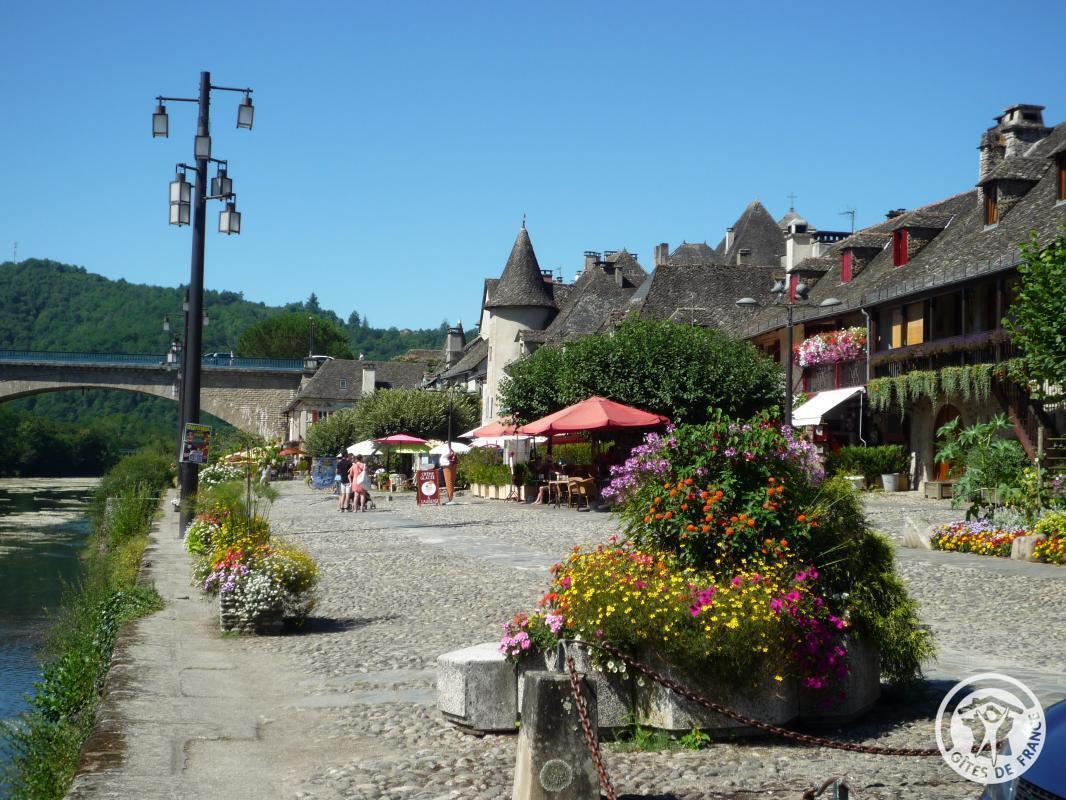 Location Gîtes de France  - Réf : 19G5188, Monceaux-sur-Dordogne - photo 324