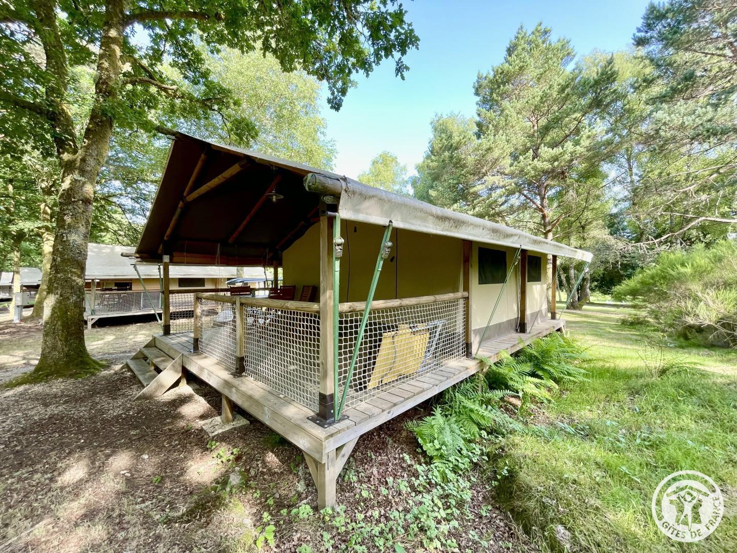 Bouleau, Espagnac - photo 40