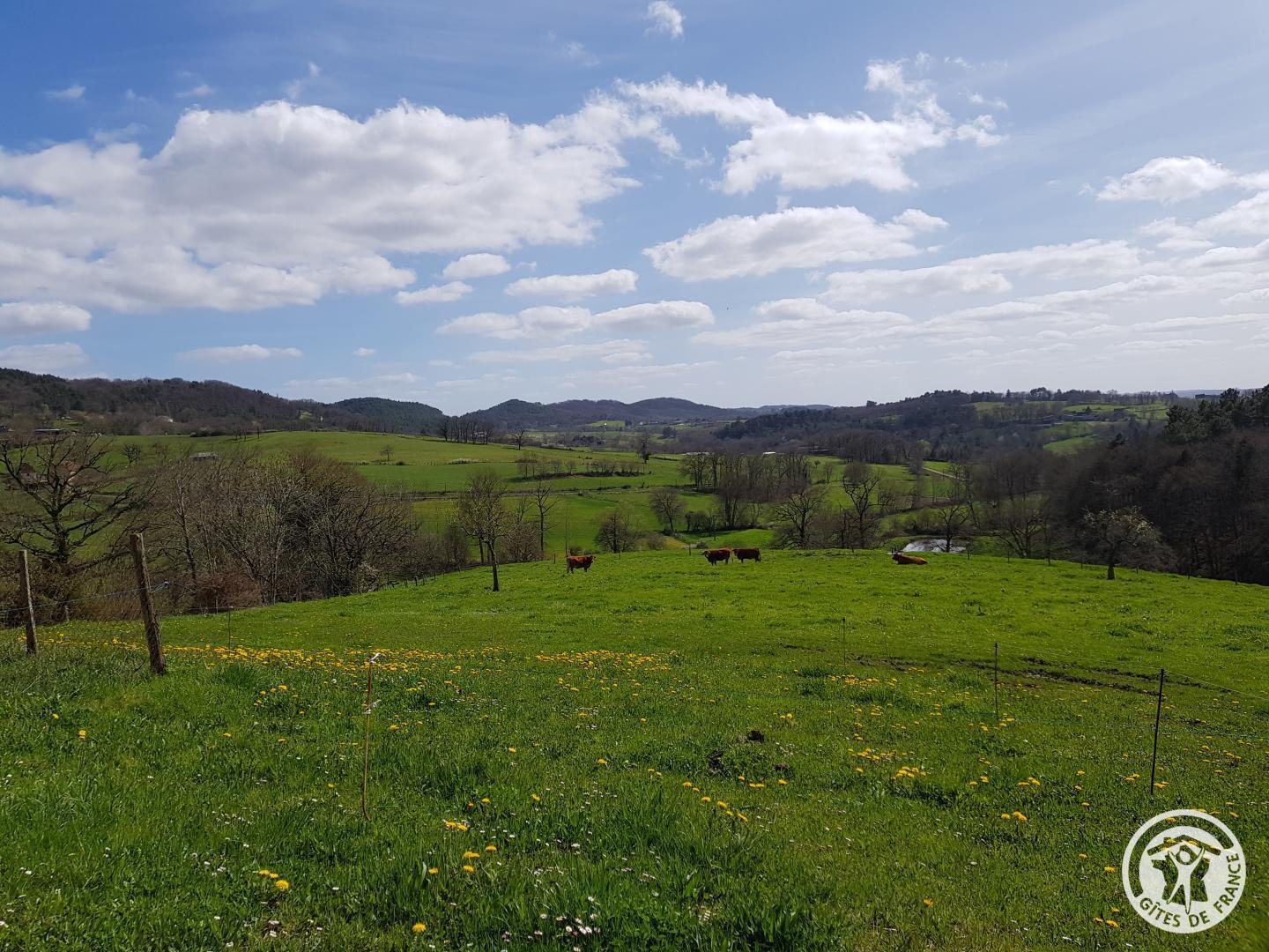 Le Suquet, Puy-d'Arnac - photo 477