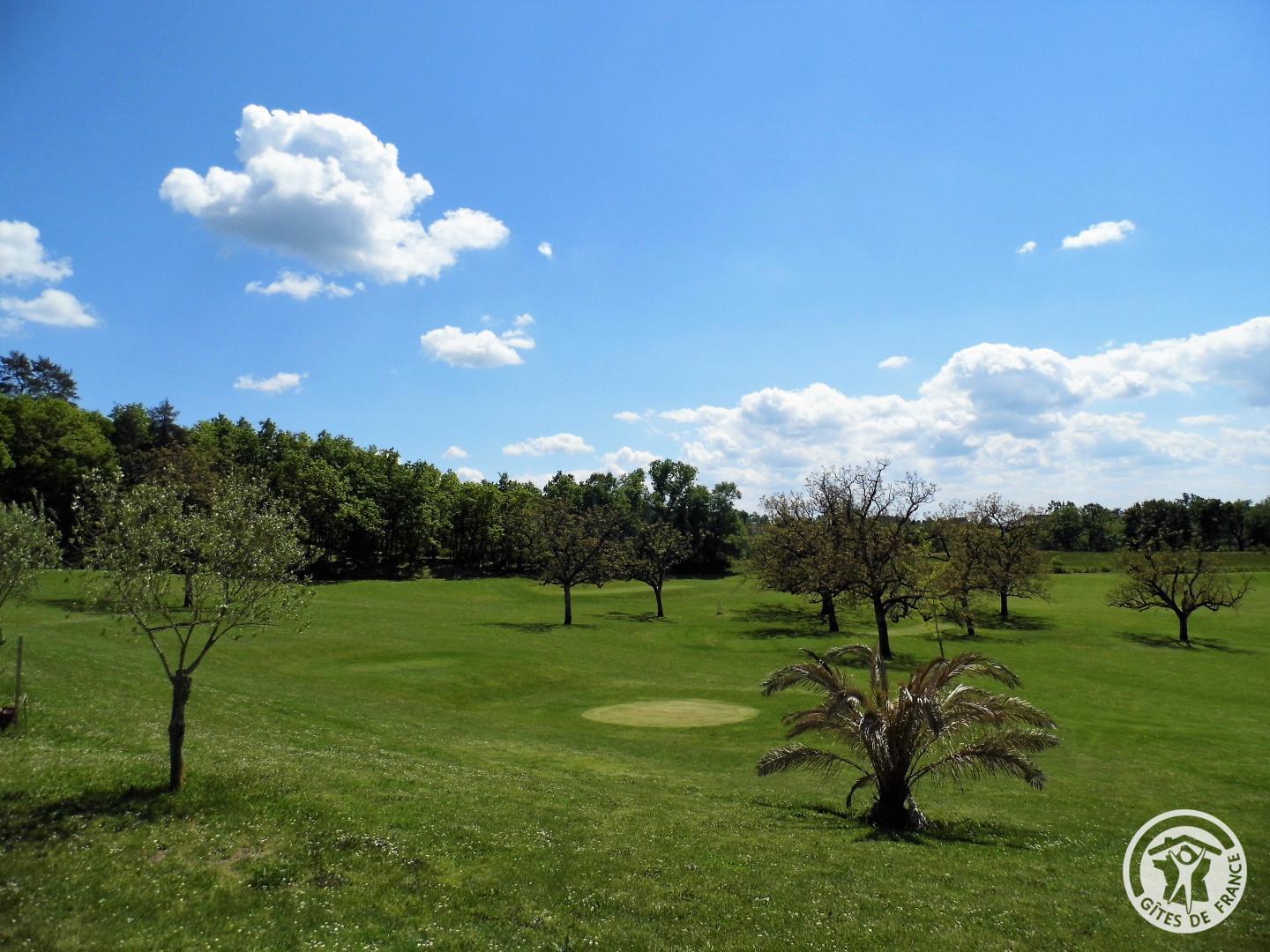 Domaine de Savignoux, Puy-d'Arnac - photo 241