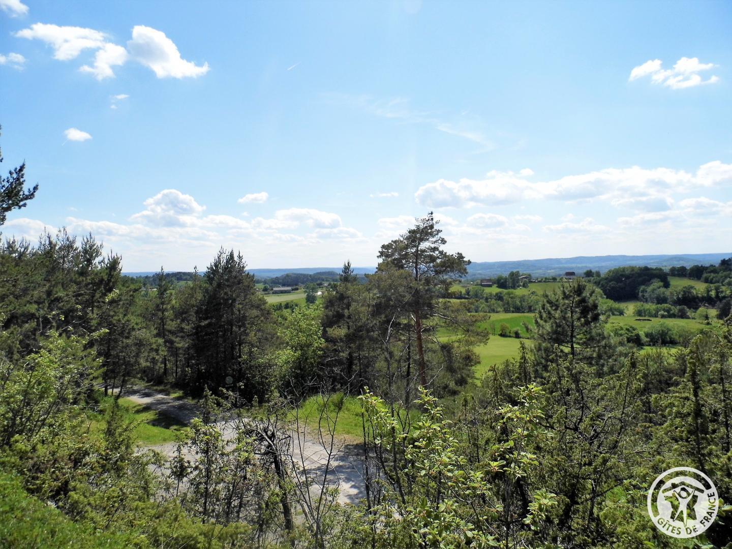 Domaine de Savignoux, Puy-d'Arnac - photo 271