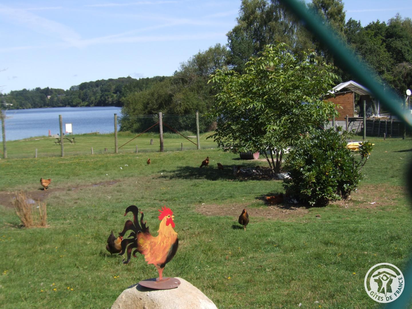 Les Chalets du bord du lac — photo 3