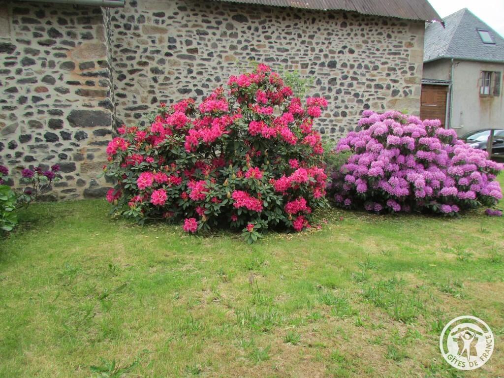 Location Gîtes de France  - Réf : 19G5236, Rilhac-Xaintrie - photo 63