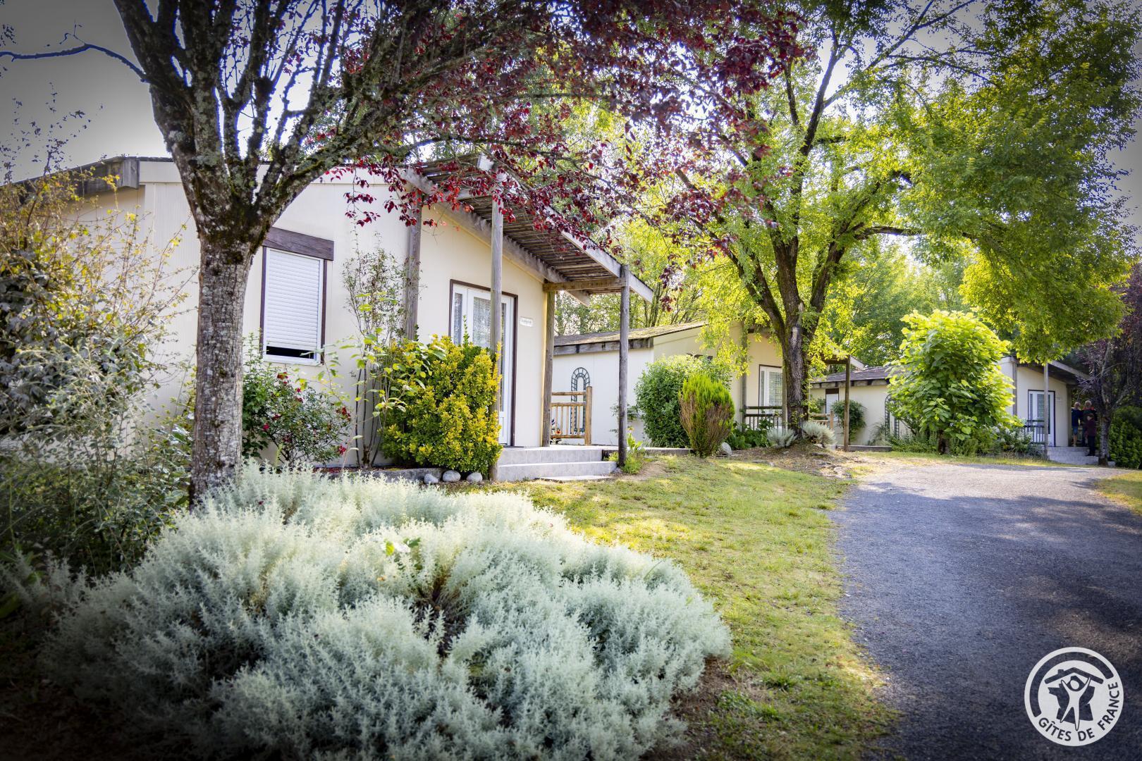 Betelgeuse - photo 2