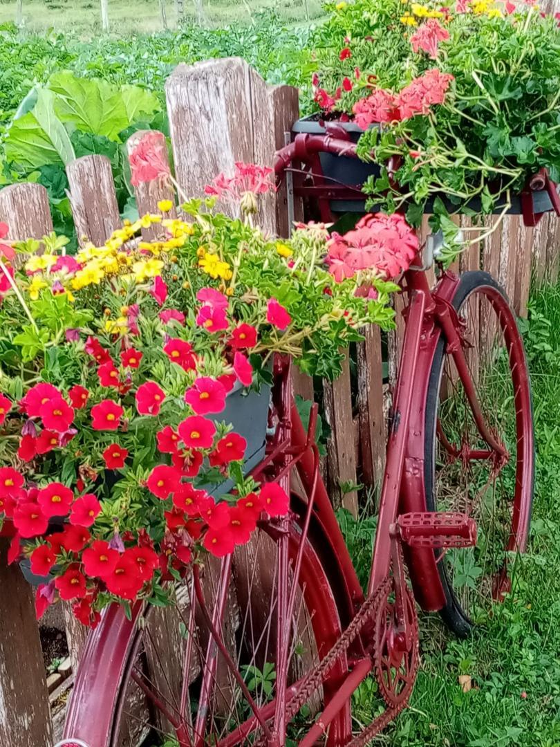 Le fournil de Lalo - photo 5