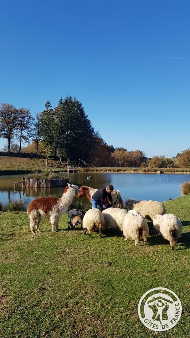 La clef des champs, Saint-Cirgues-la-Loutre - photo 162