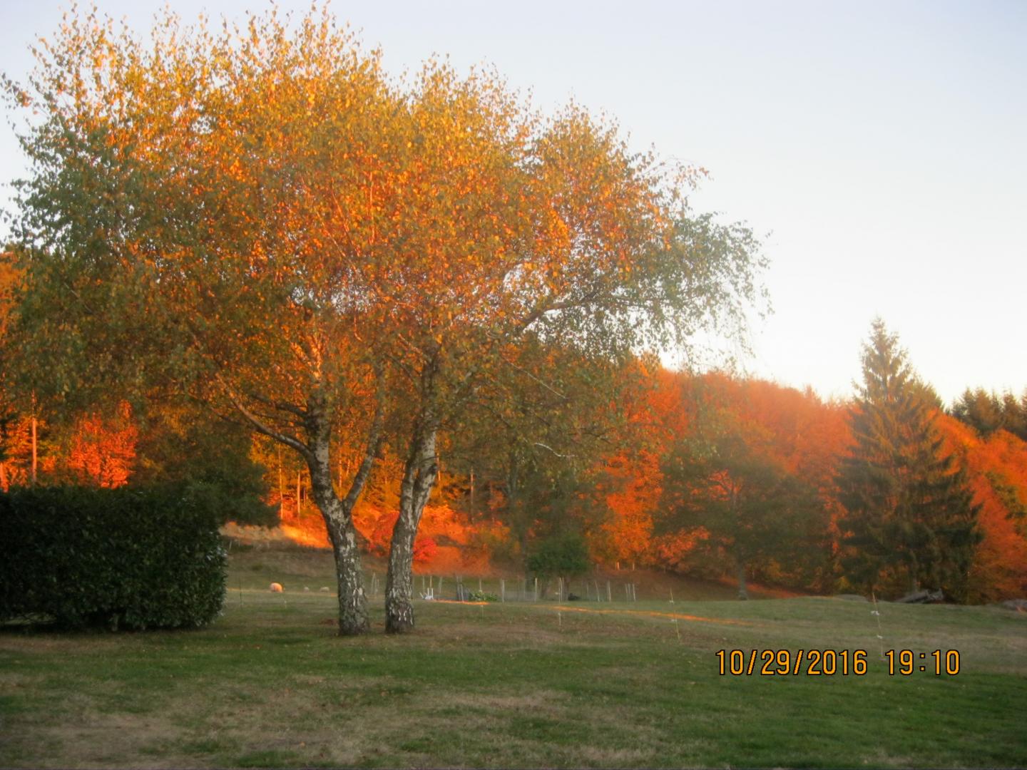 La grange, Saint-Geniez-ô-Merle - photo 14