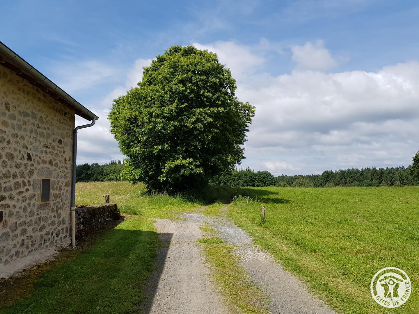 Notre Château, Saint-Julien-aux-Bois - photo 179