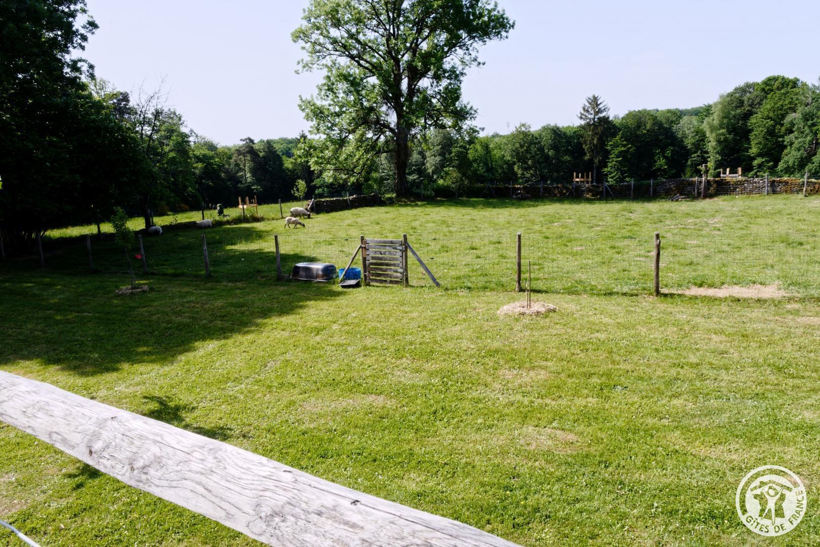 Gîte de Coiral, Saint-Merd-de-Lapleau - photo 121