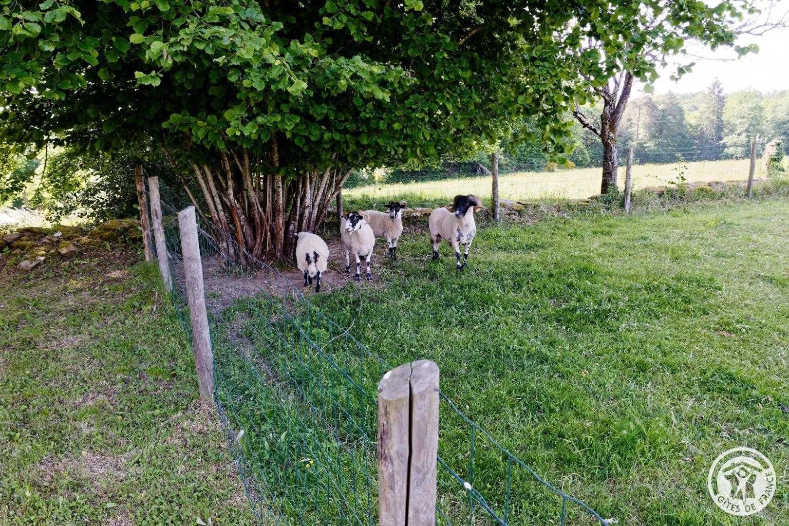 Gîte de Coiral - photo 3