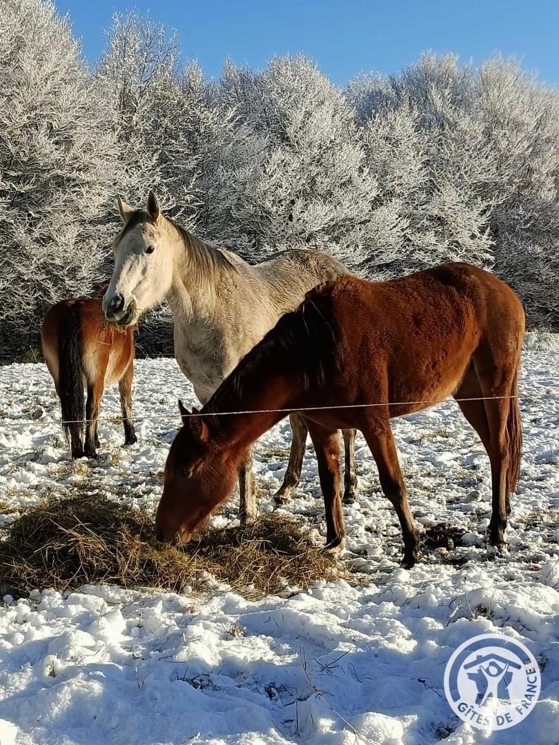 Le Rouzeyrol - photo 4