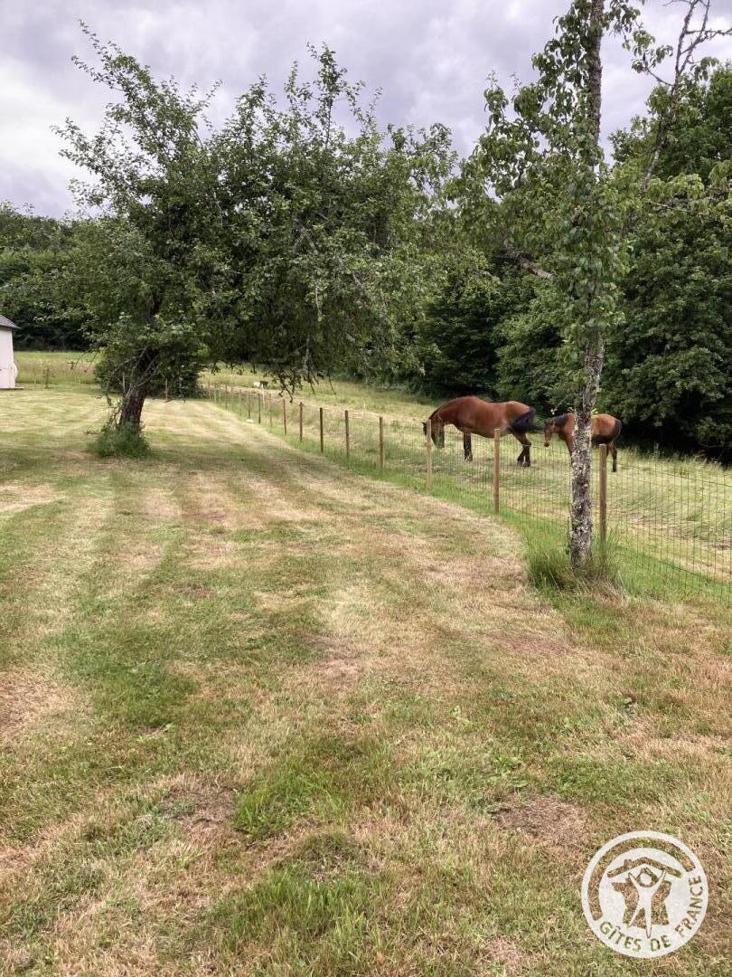 Le Rouzeyrol, Saint-Merd-de-Lapleau - photo 367