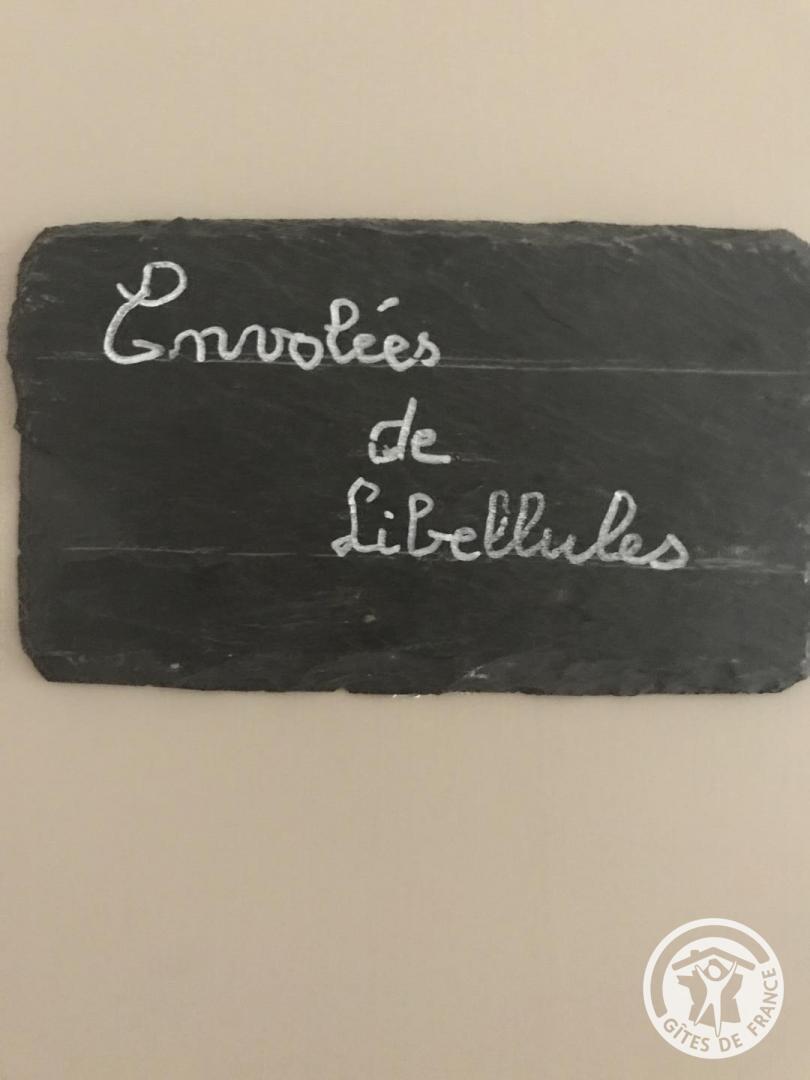 Le Rouzeyrol, Saint-Merd-de-Lapleau - photo 353