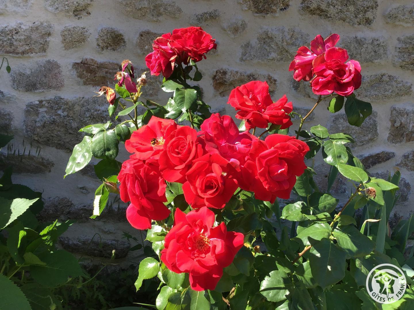 Location Gîtes de France  - Réf : 19G5349, Saint-Privat - photo 97
