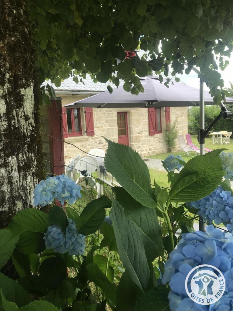 Location Gîtes de France  - Réf : 19G5349, Saint-Privat - photo 109