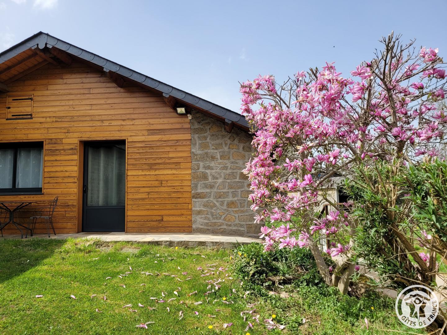 Gîte Magnolia, Sarroux - Saint Julien - photo 48