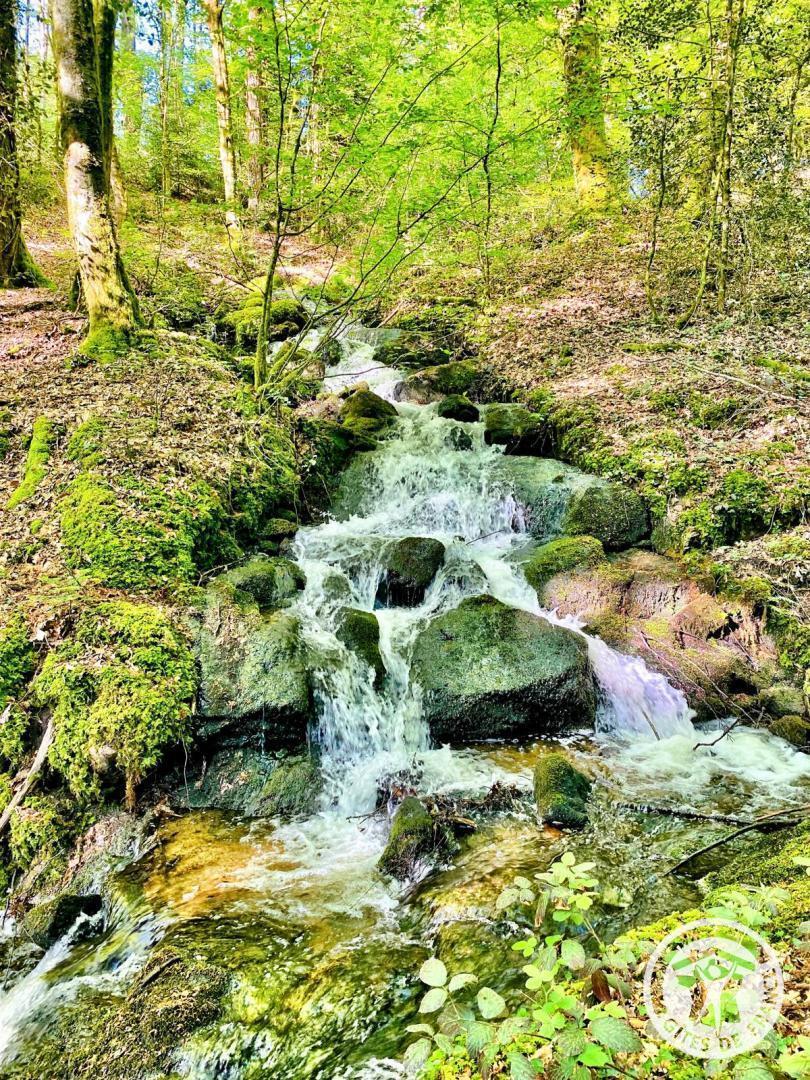 Diane, La Roche-Canillac - photo 117